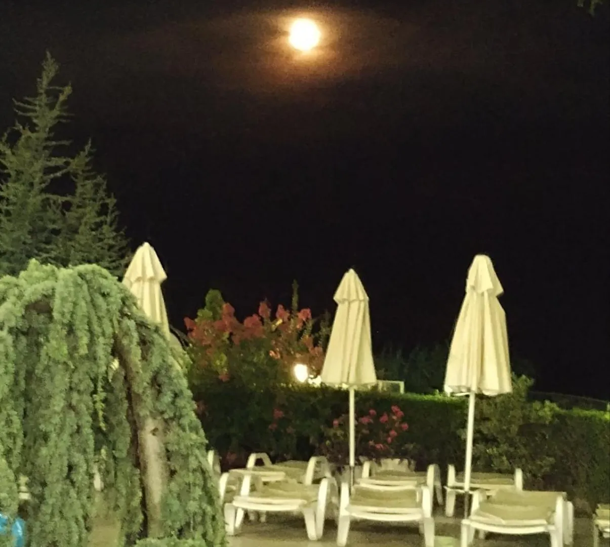 Blue Bay Hotel Sunny Beach Bulgaria